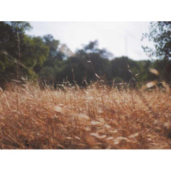 Ergonomic Aluminum Chair fr-FR